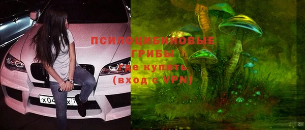 эйфоретик Аркадак
